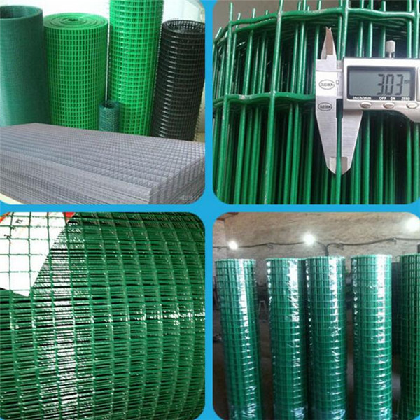 pvc coated welded wire mesh roll_副本